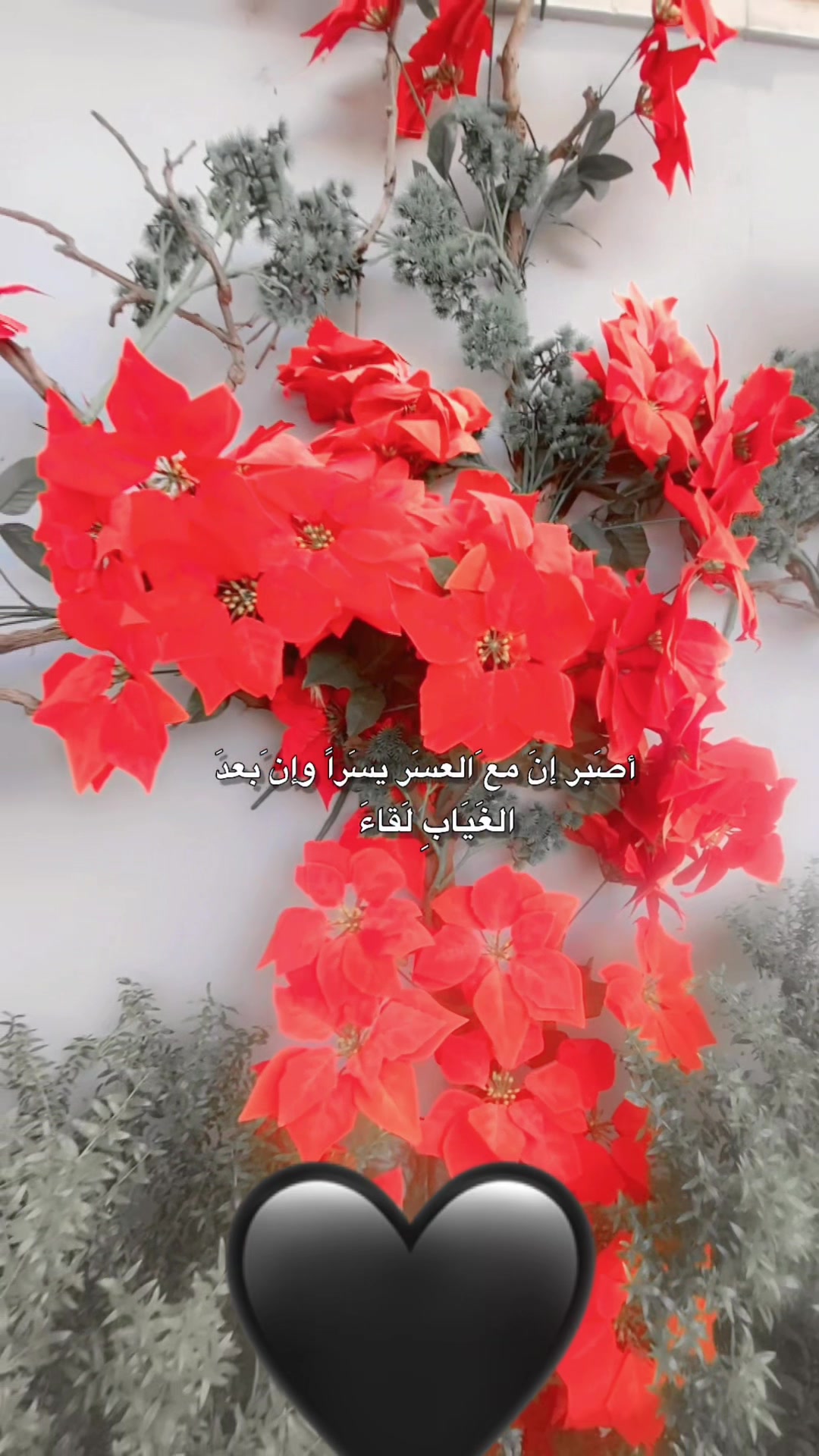 @🔹صفـ𓂆ـآء بشآرات🖤🇵🇸