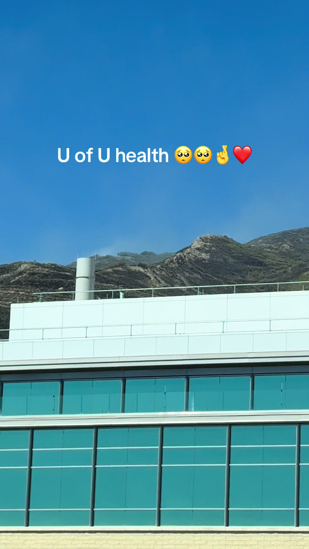 @bidhi485