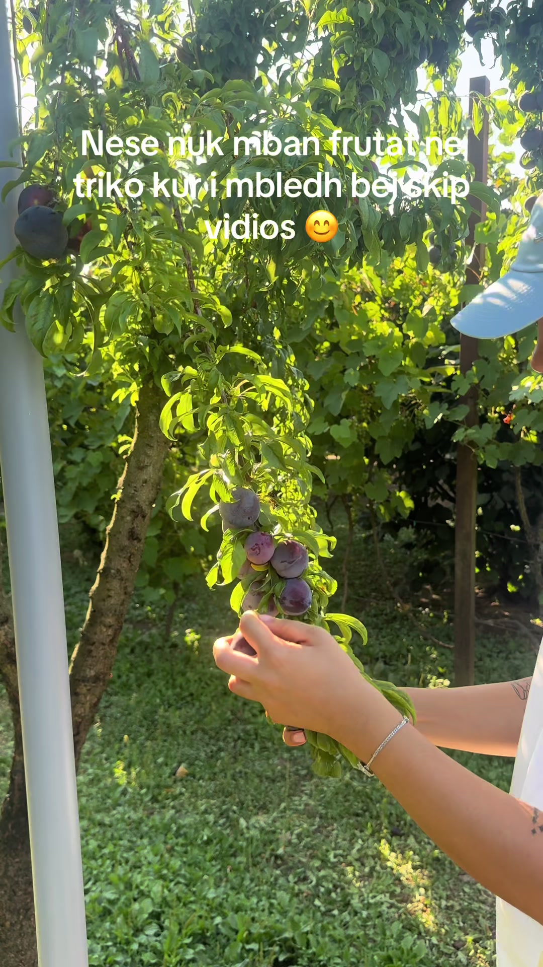 @lorihoxha