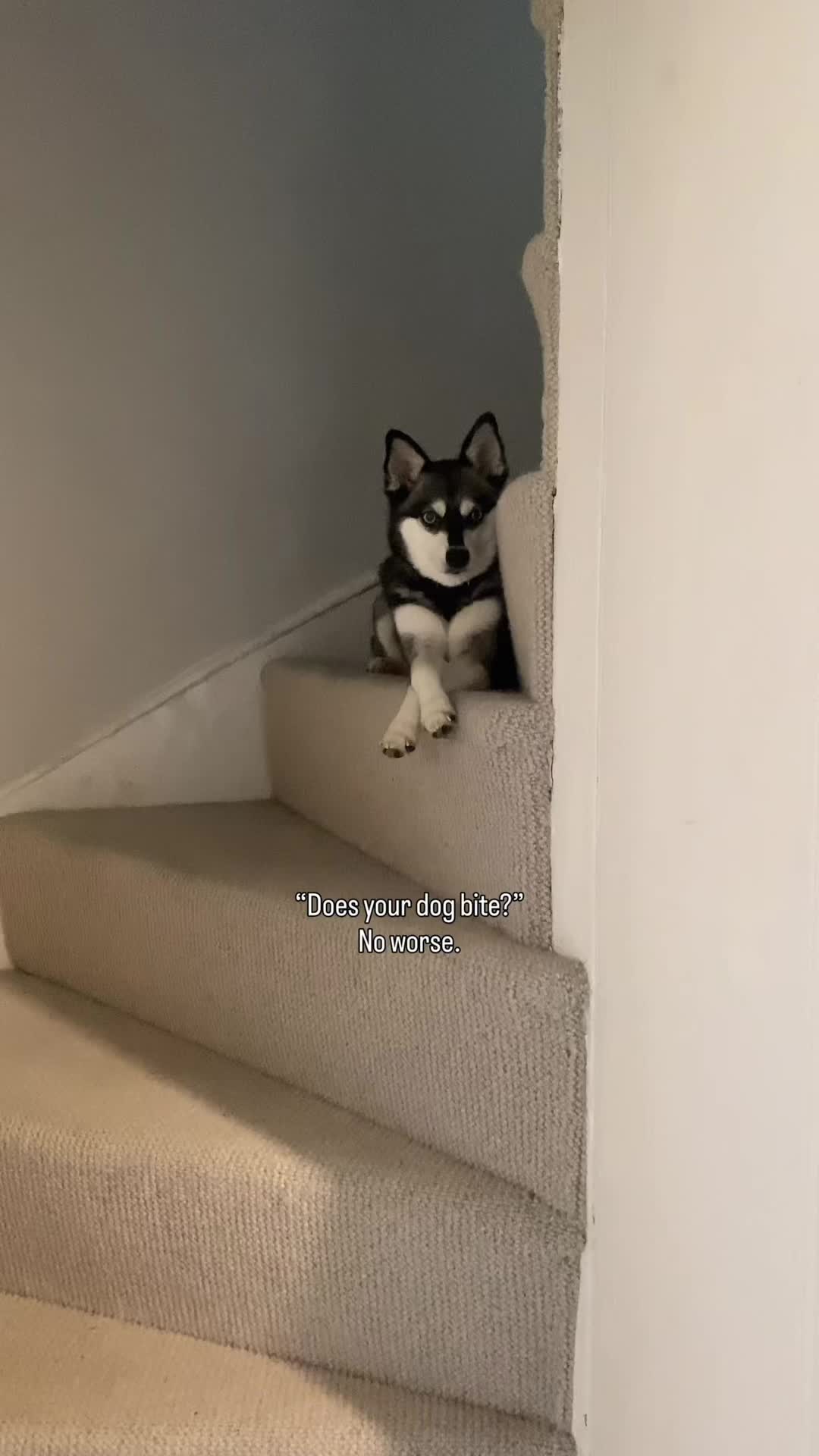 @lifewithkleekai