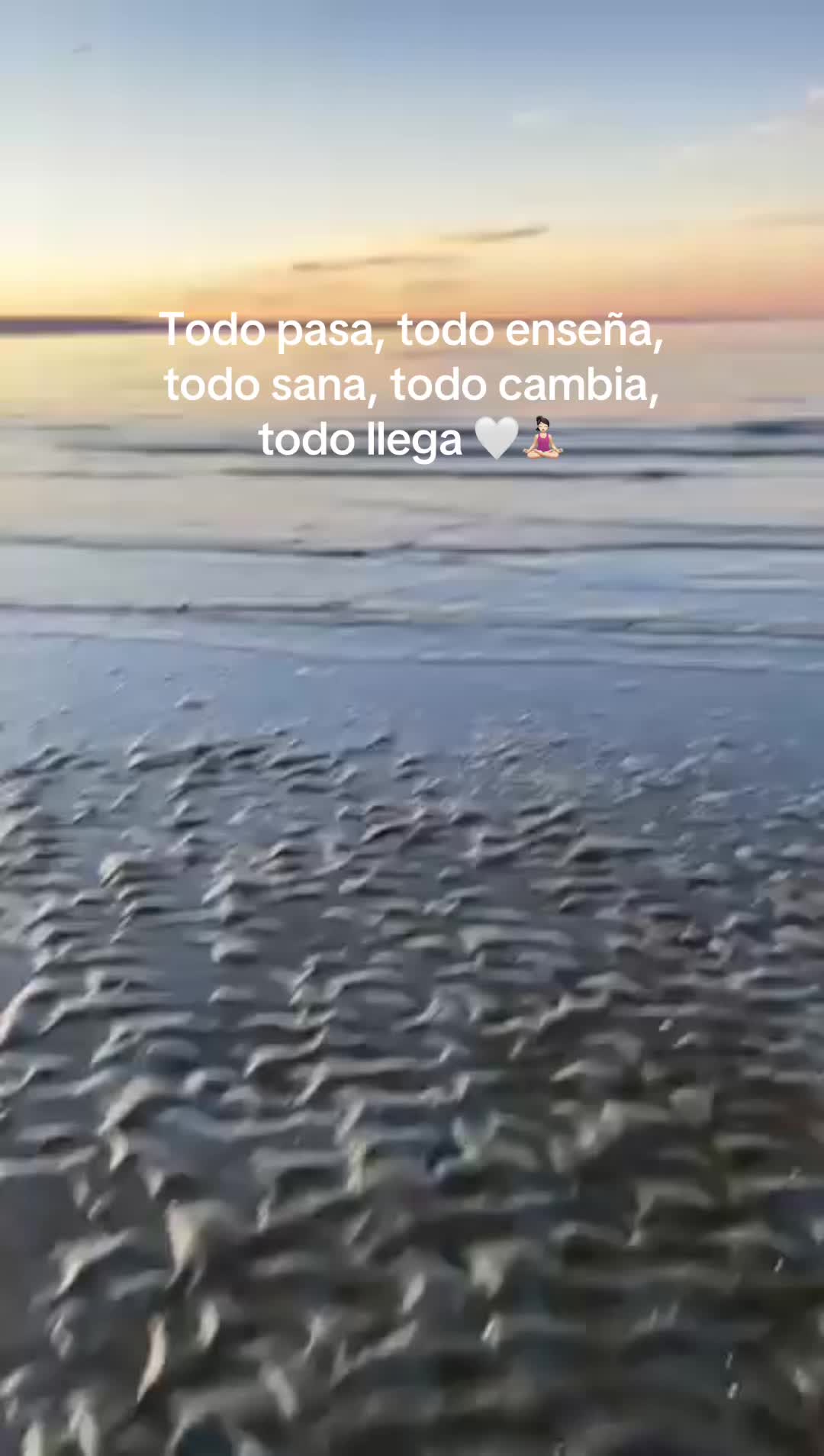 @່