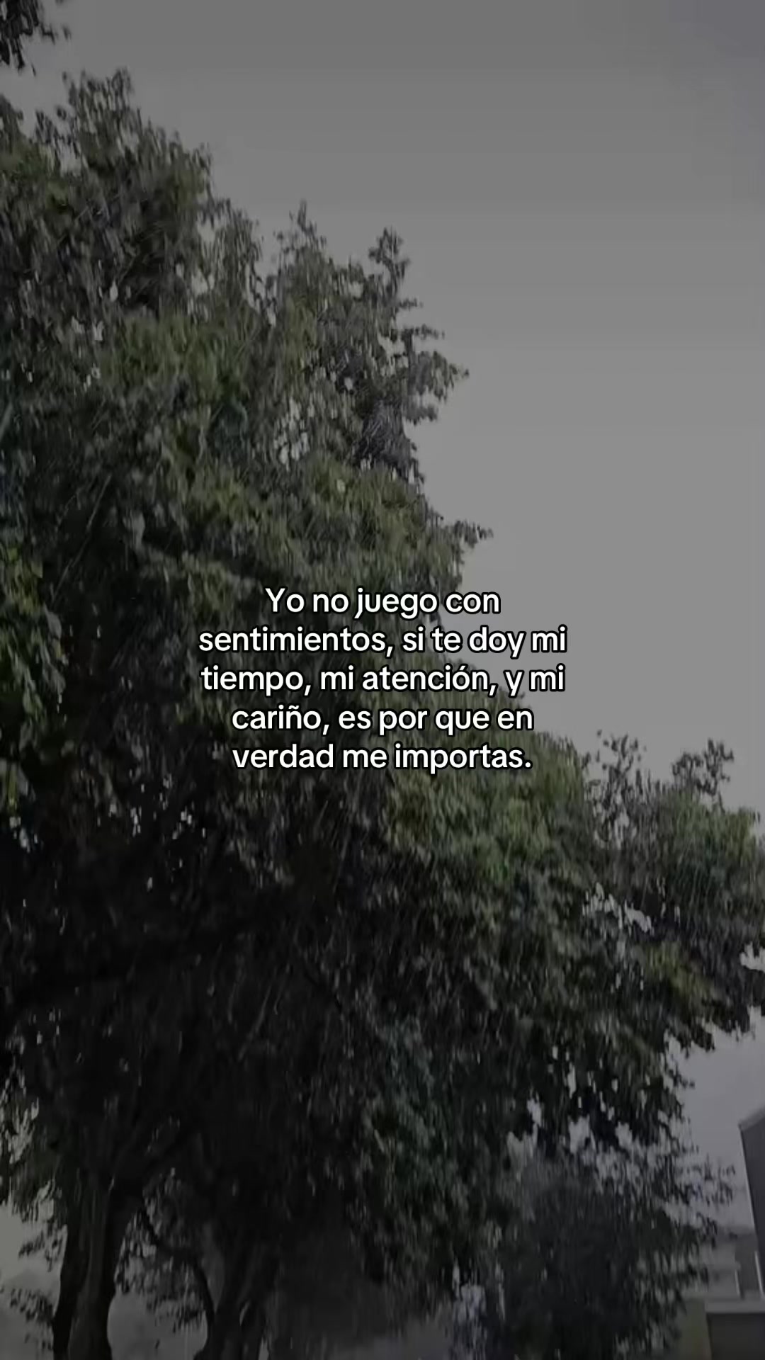 @️🥀Rafa🪫