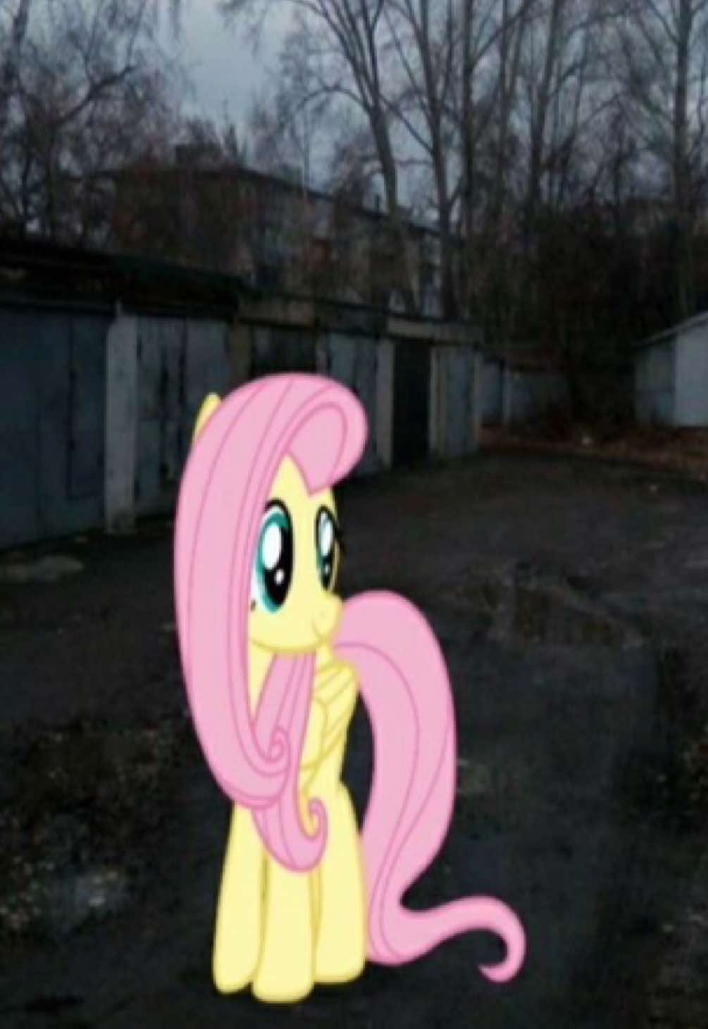 @1111