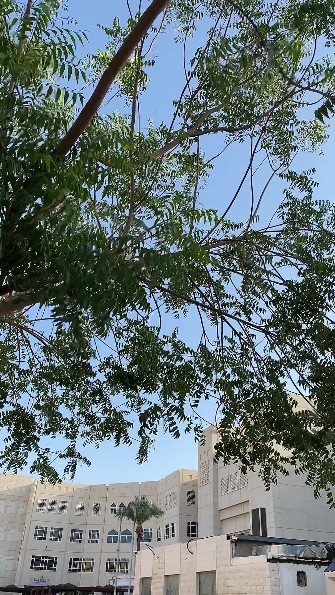 @مجرد فتاة🎀
