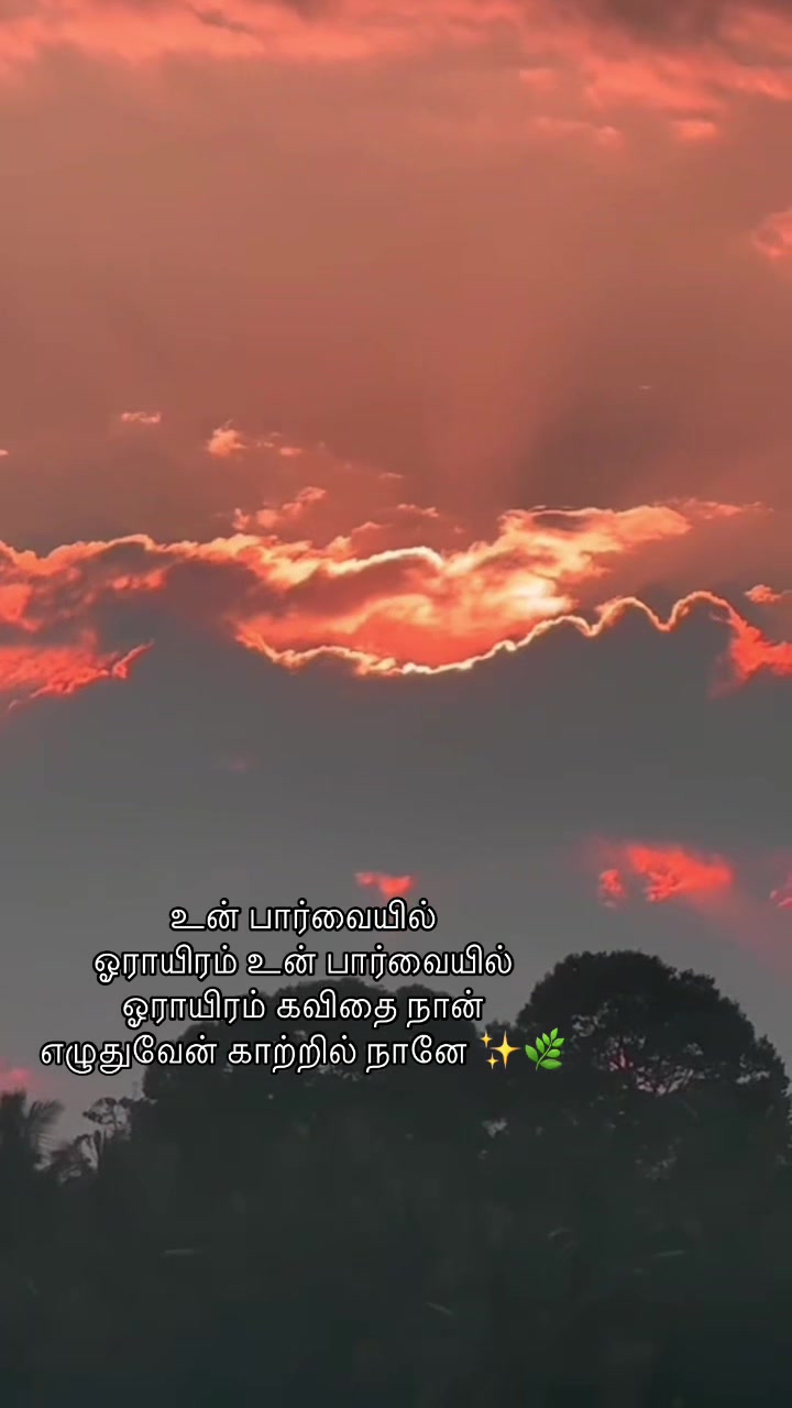 @tamilisai