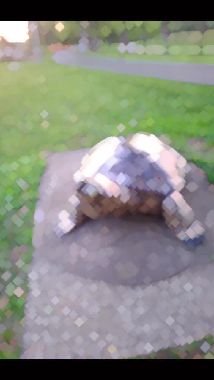 @Tímea Bácsalmási