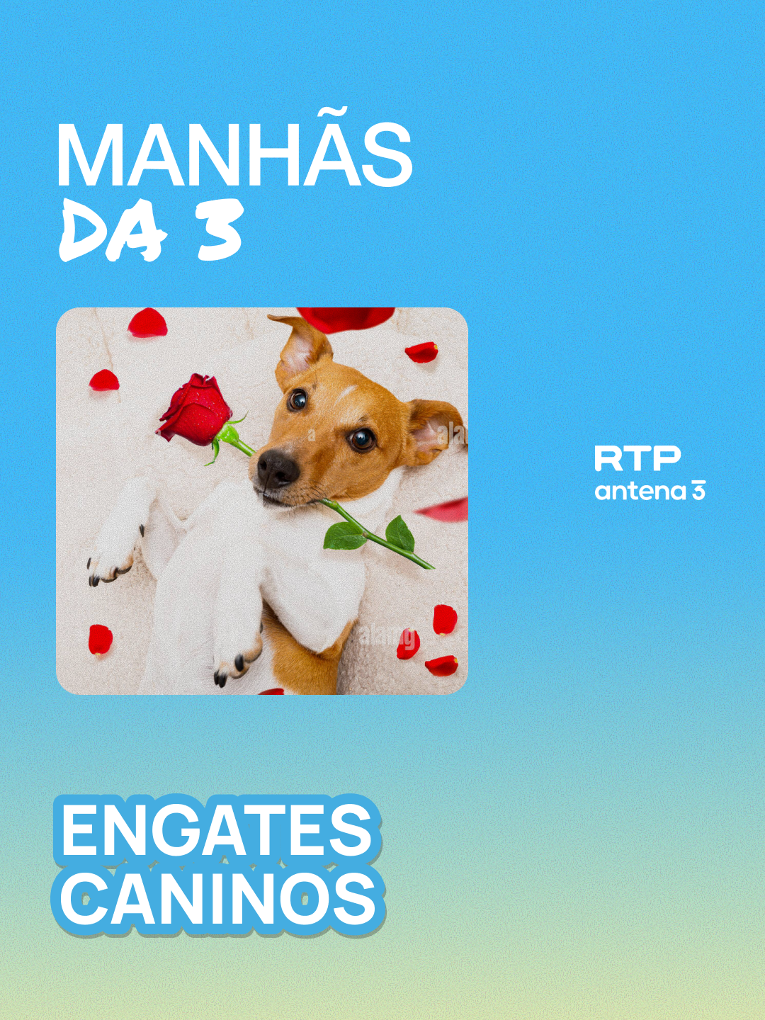 @RTP Antena 3