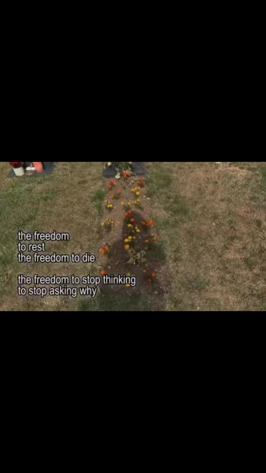 @yellow.august0
