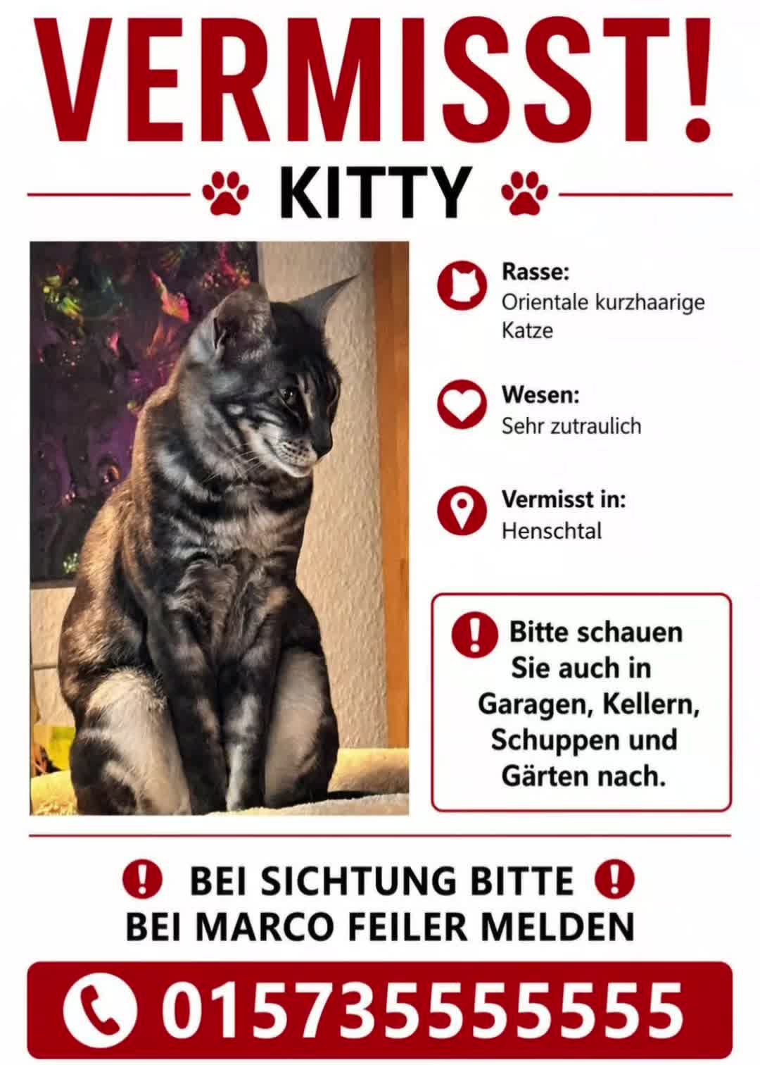 @Kitty137