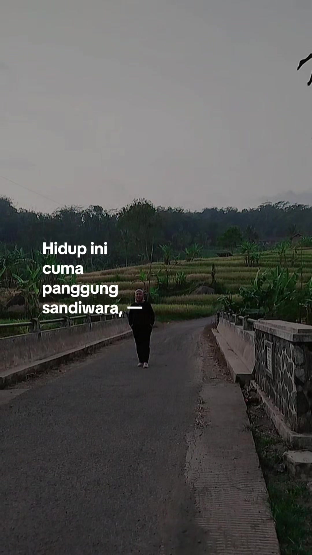 @gita agistia