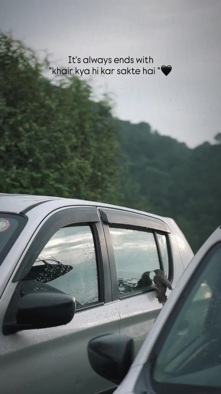 @Aesthetic Vibes