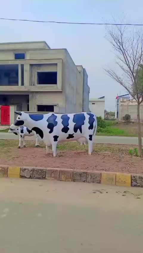 @Zulfiqar ali