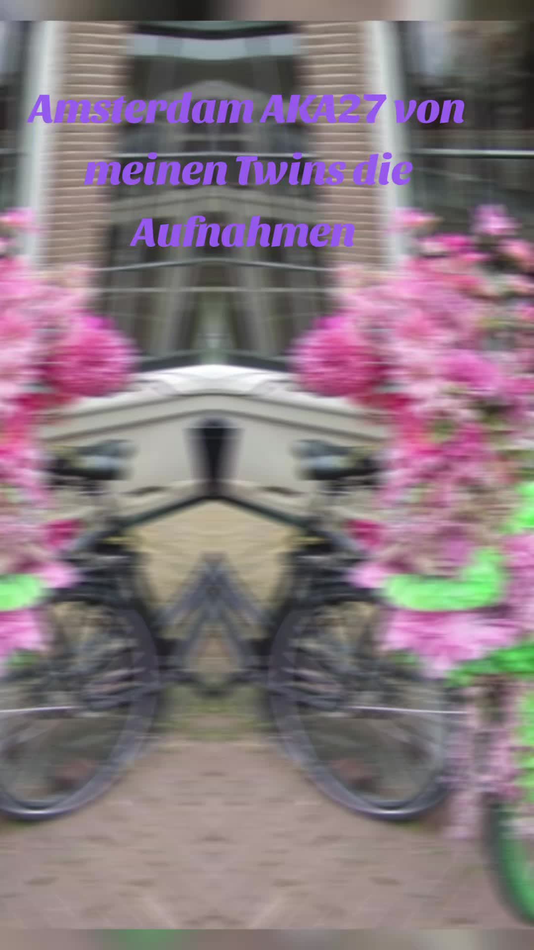 @๐๐ณ๐๐ฎ๐๐๐๐๐๐๐ณ๐
