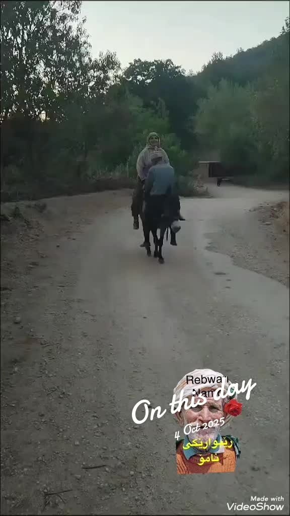 @rebwari namo رێبوارێکی نامۆ