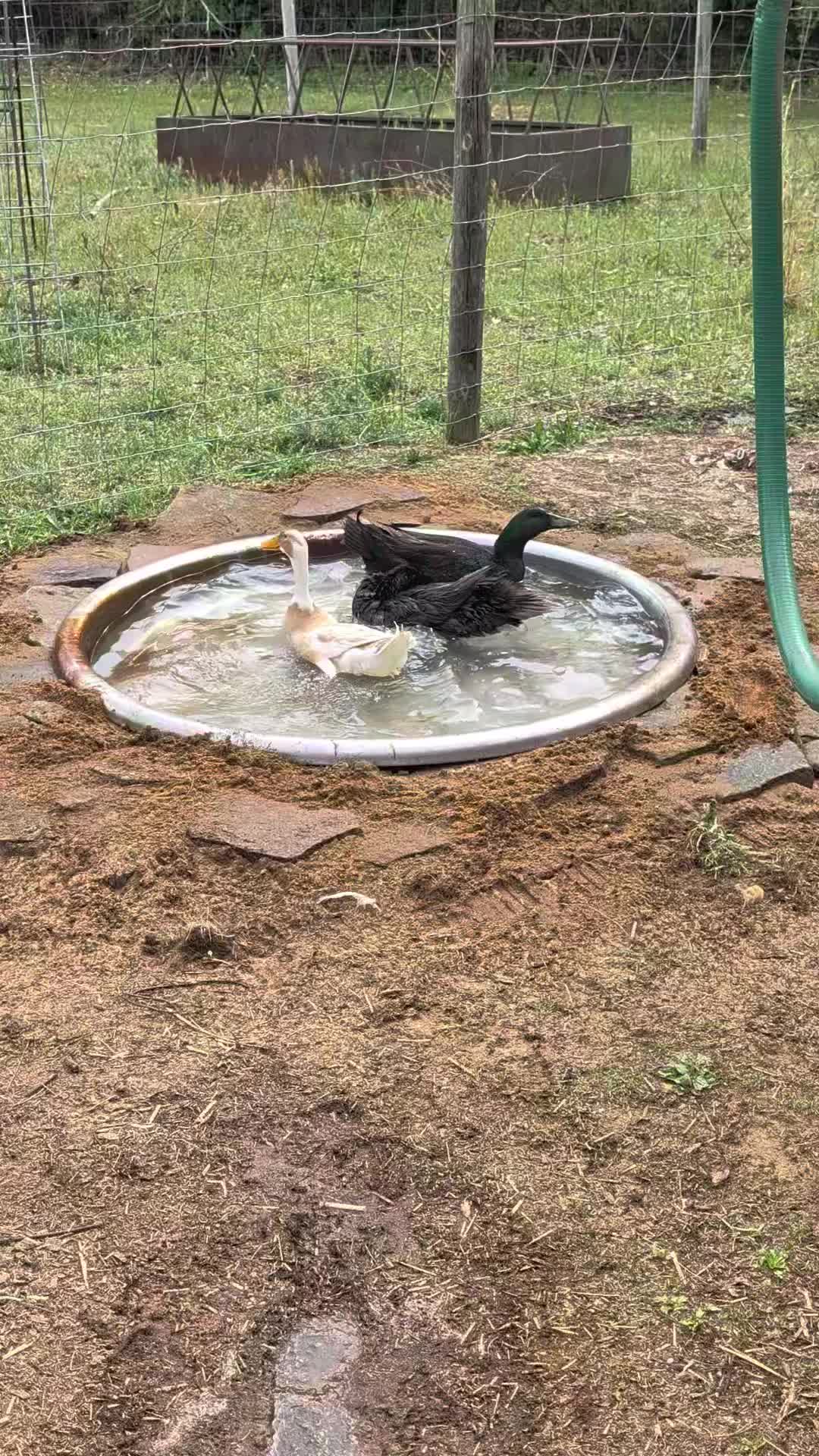 @FarmHandMark
