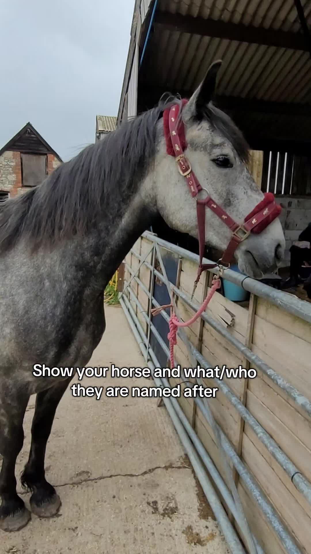 @Olivia 🤍