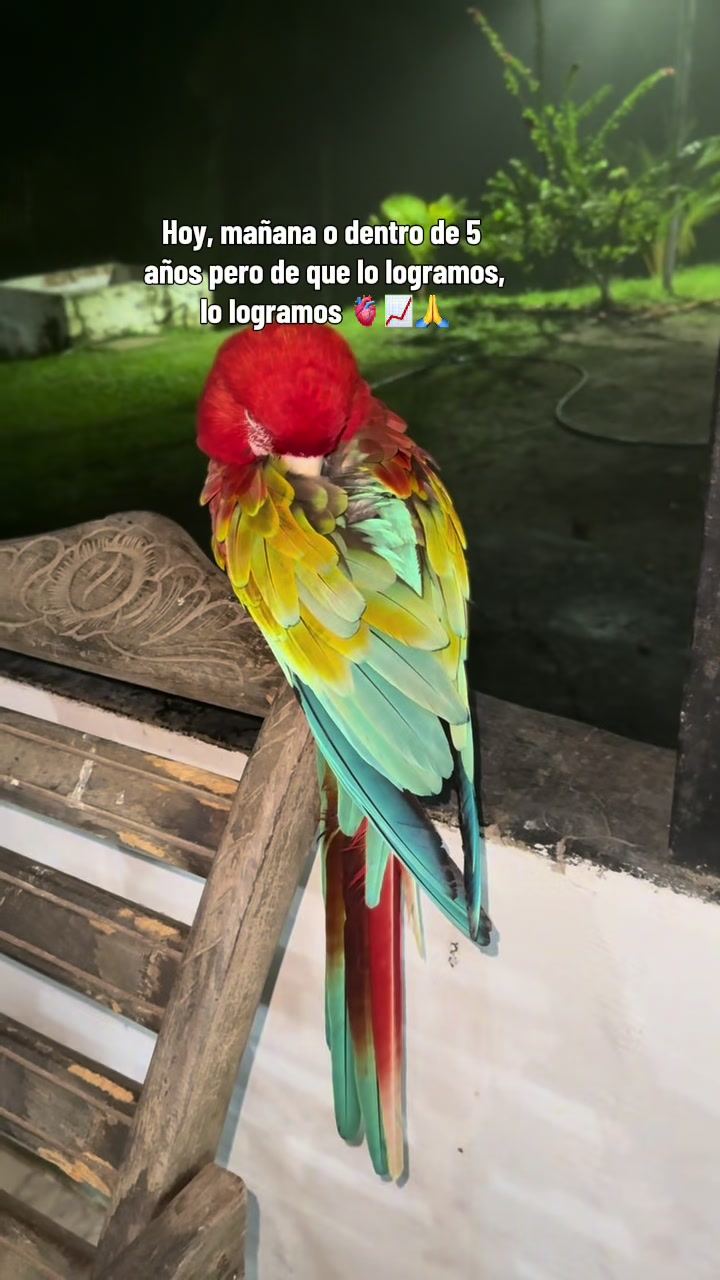 @Granjamascotalandiayaracuy