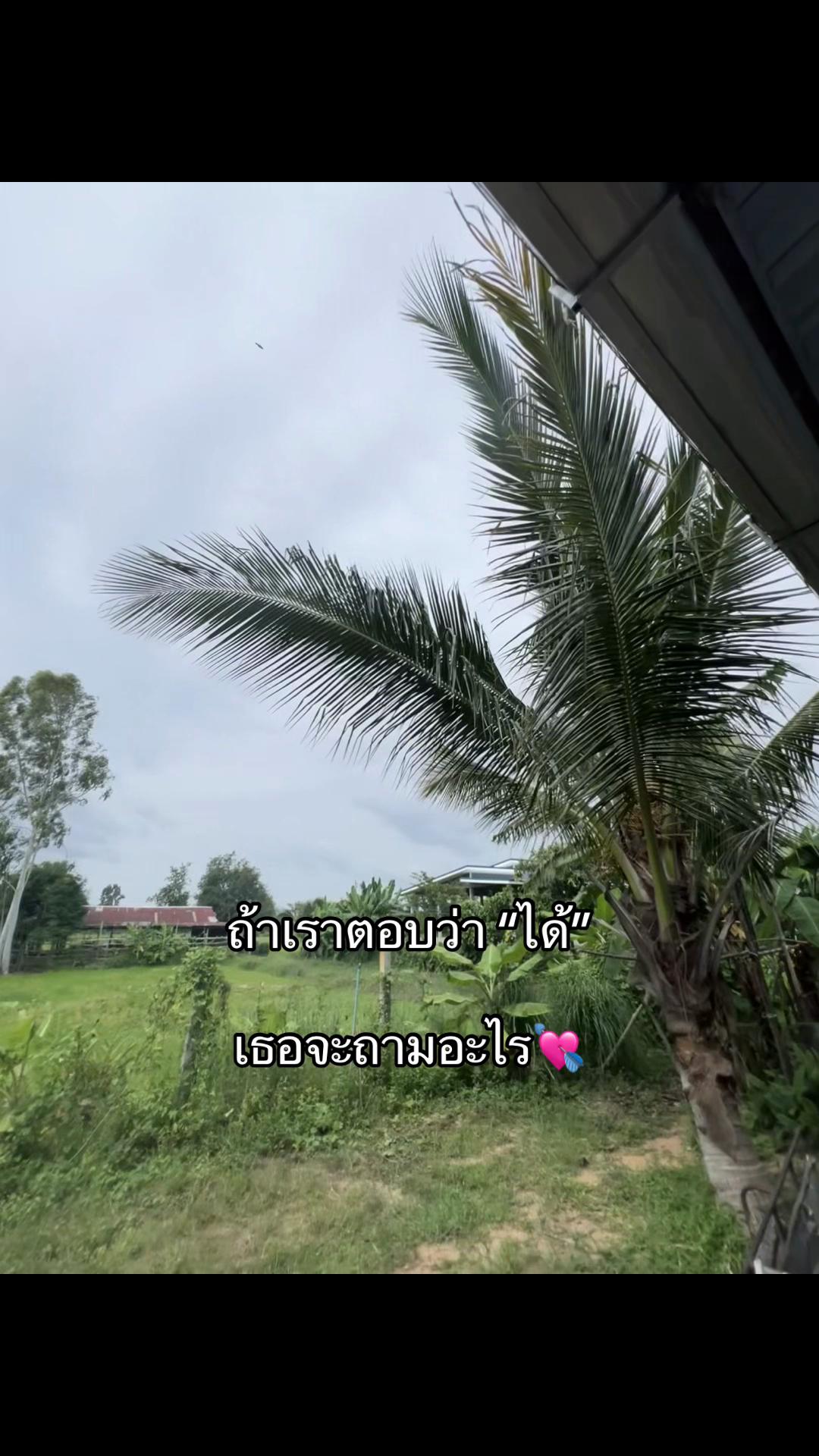 @เธรดรวม. (2.6k)
