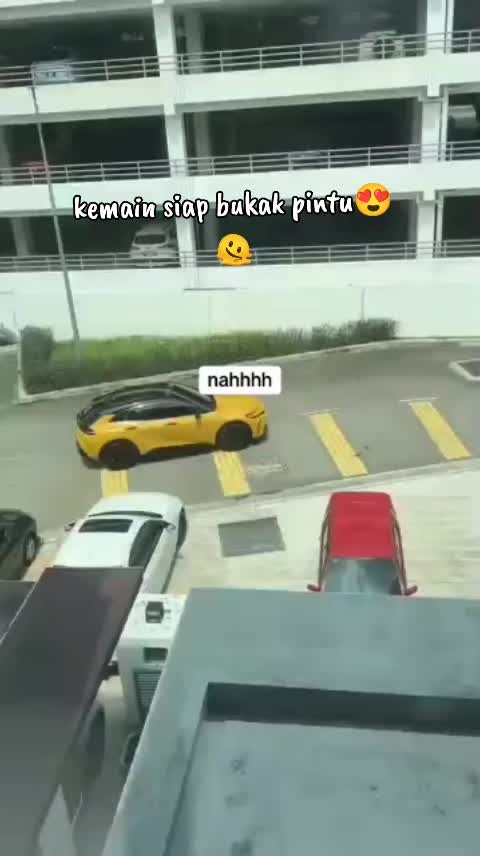@🇲🇾EkIn🦈🦛🕸️💚🖤🤎