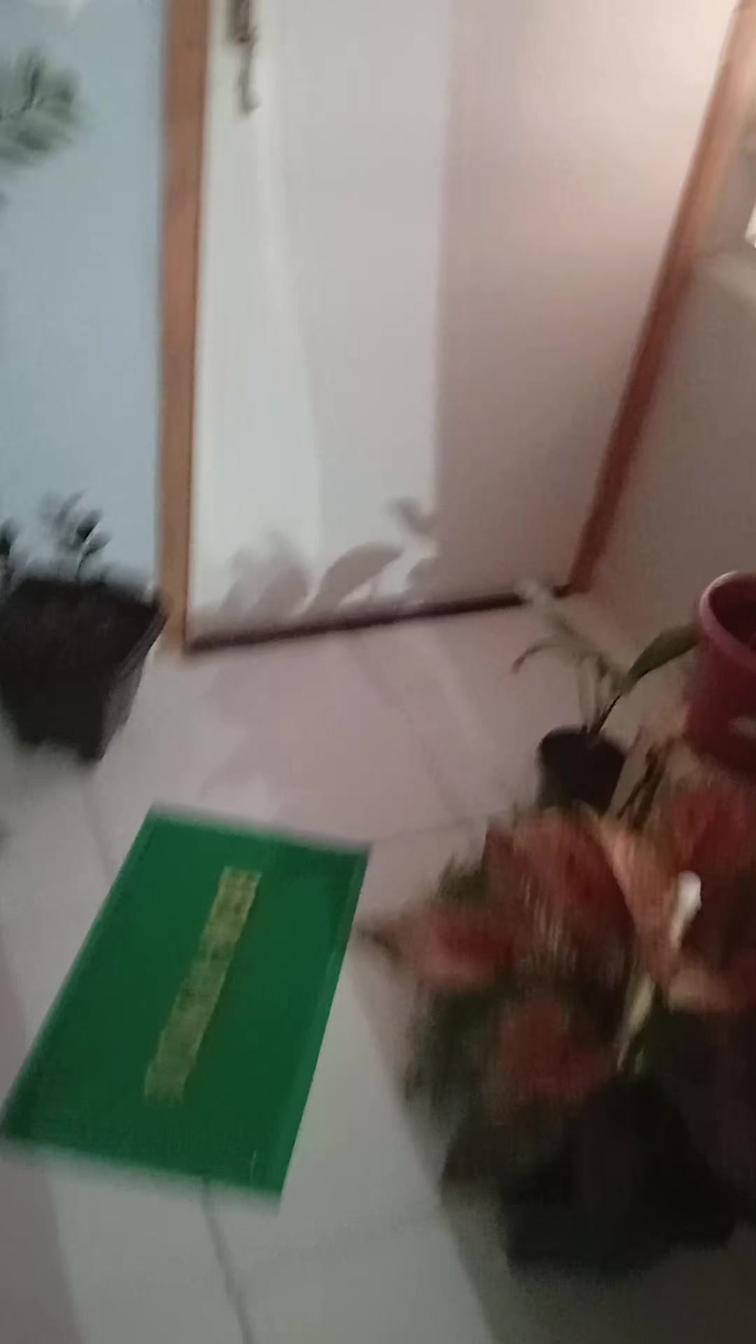 @Paulo Cajueiro