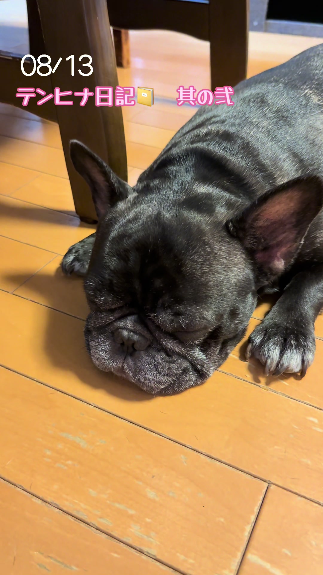 @遮那😎⚡️🐾