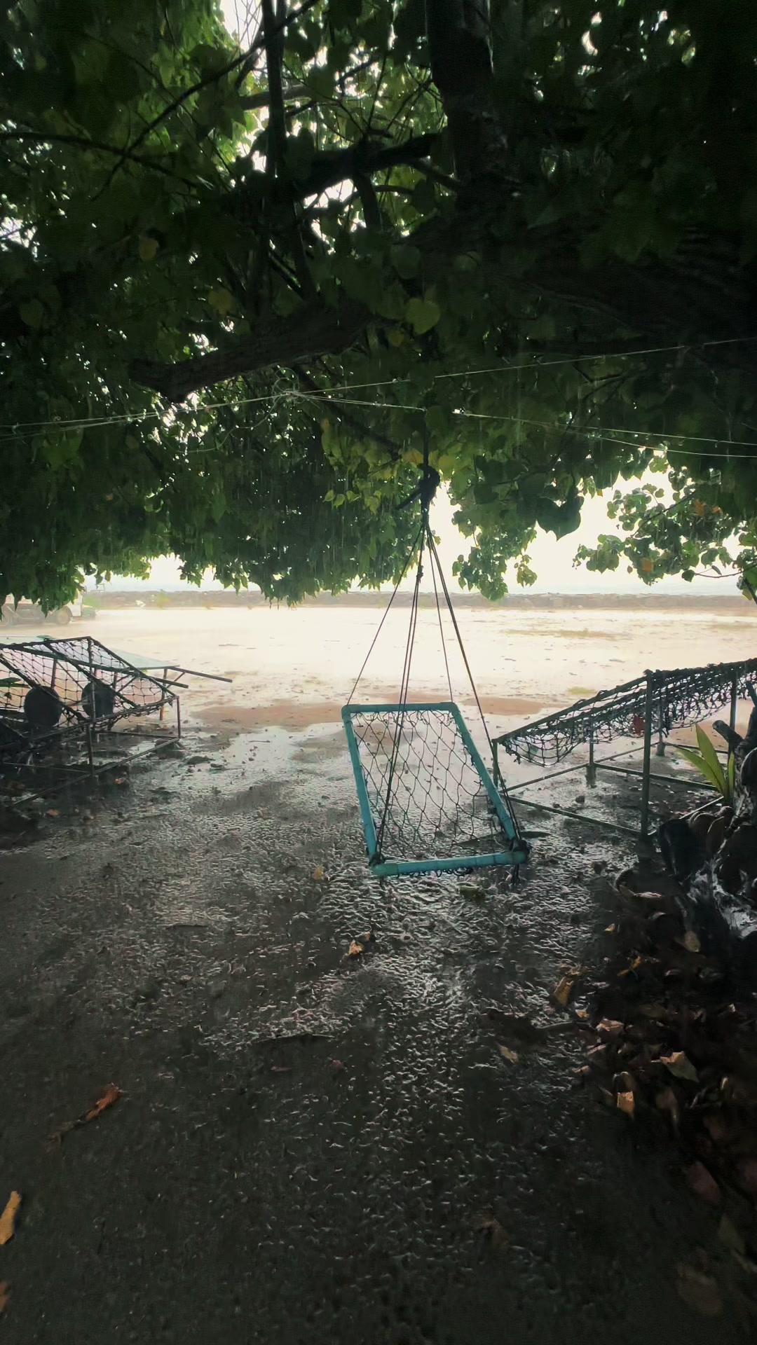 @shim🇲🇻