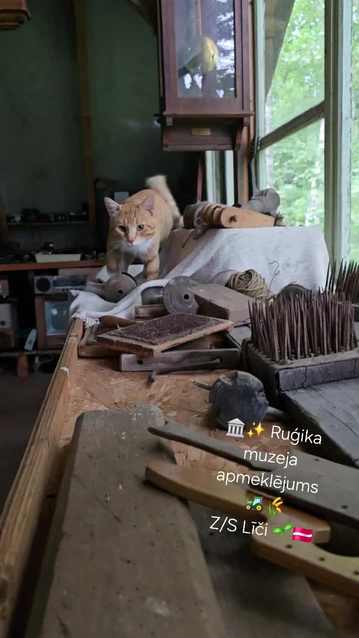 @Rumpelis