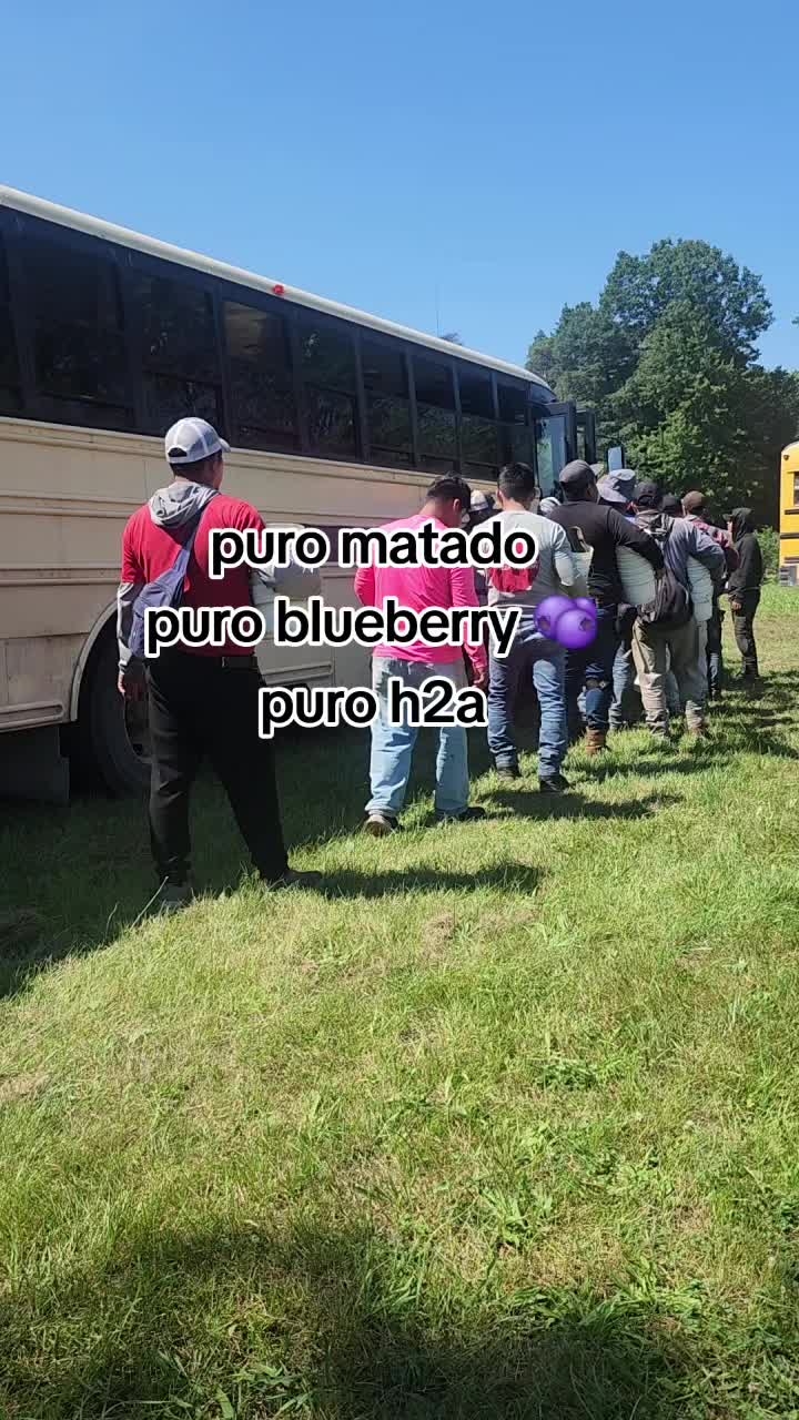 @mini mi