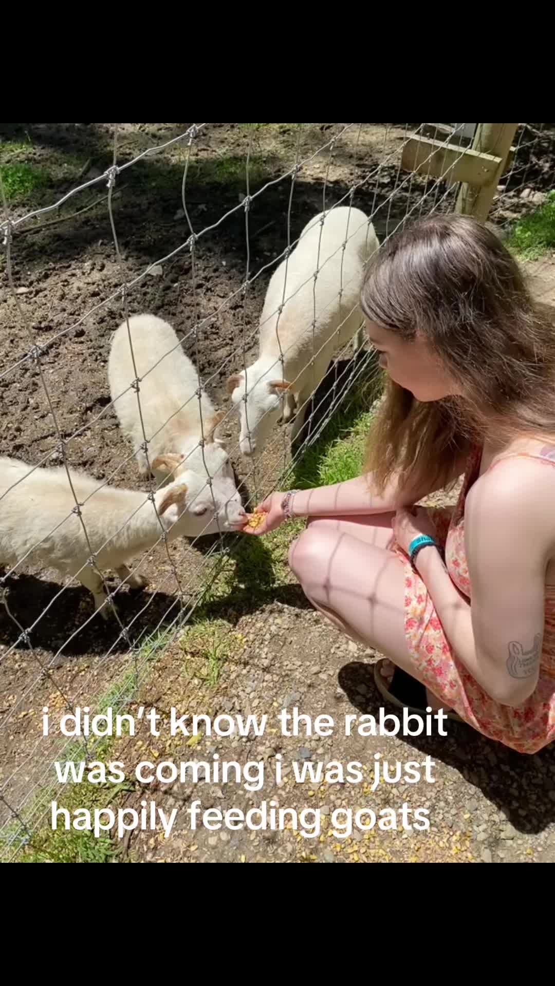 @emily._.bean