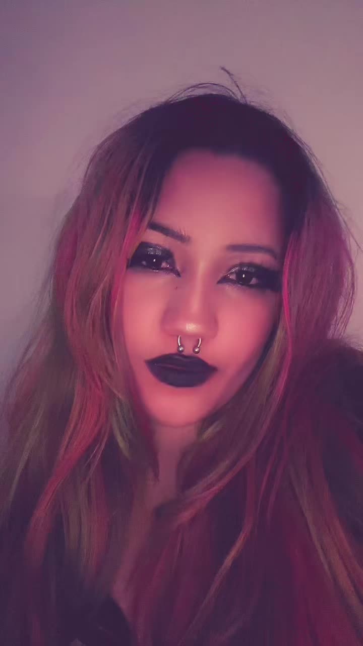 @rexi🐾🦈