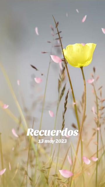 @ANGY *MUJER DE FE *๐๐ป♥๏ธ
