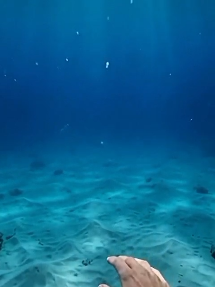 @Sea monsters