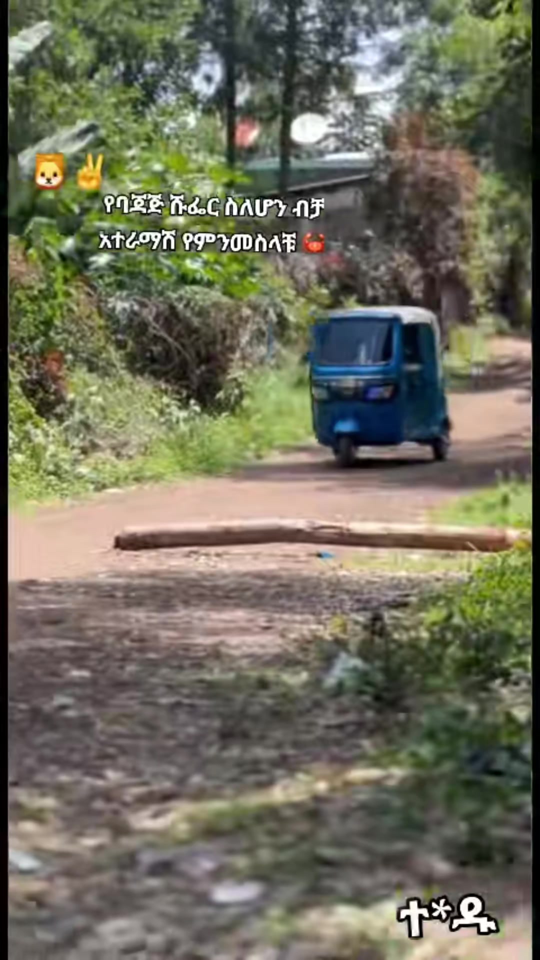 @ጀማሪው ነኝ❤💞