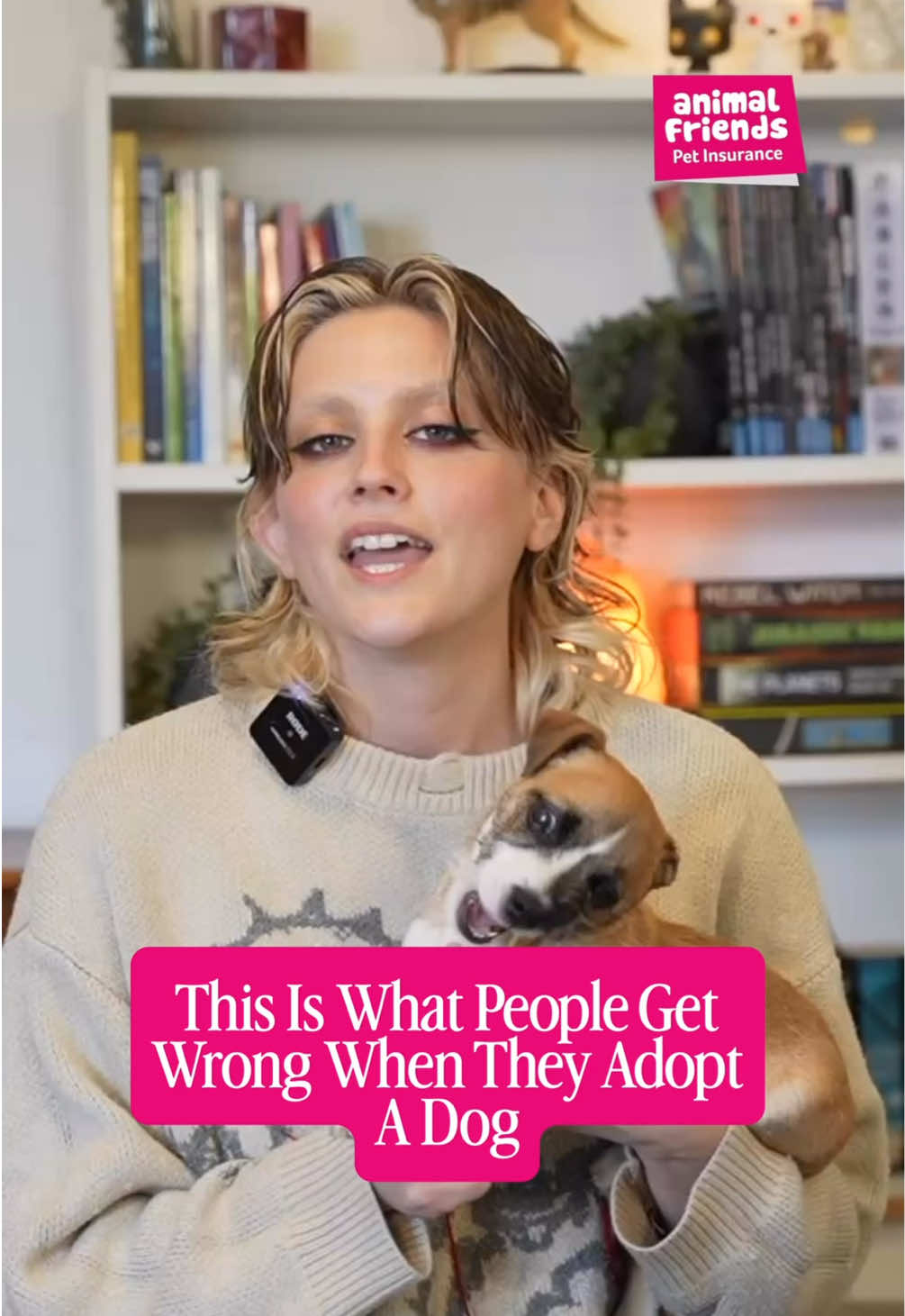 @Amelia the Dog Trainer