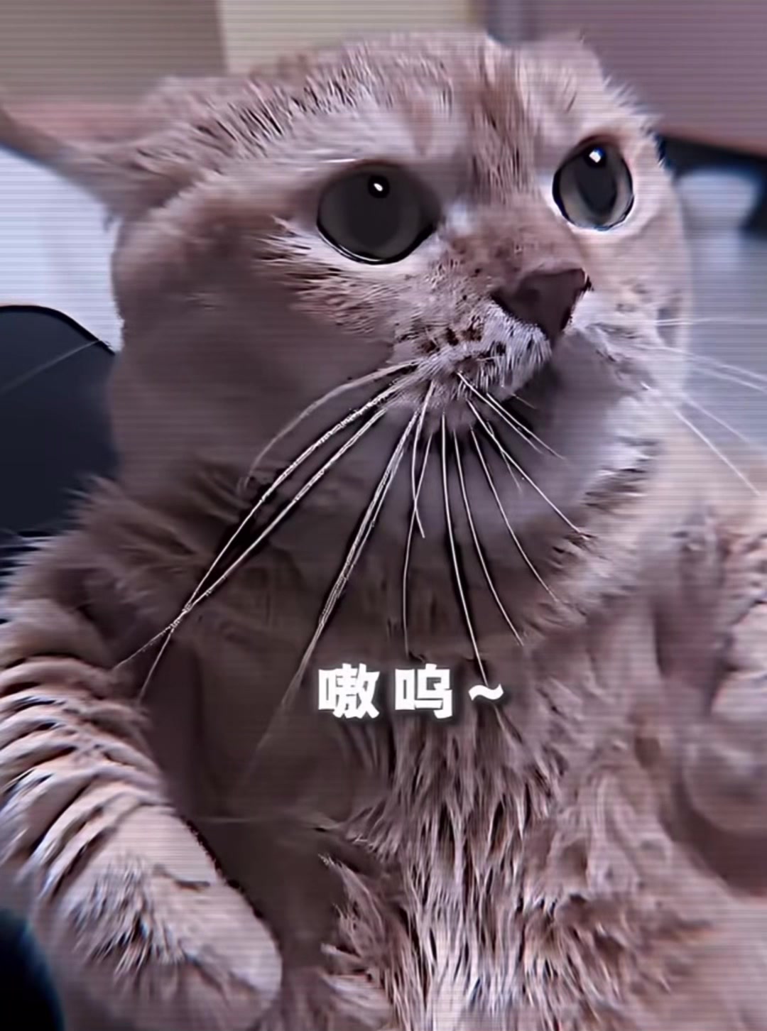 @生了我媽必有用