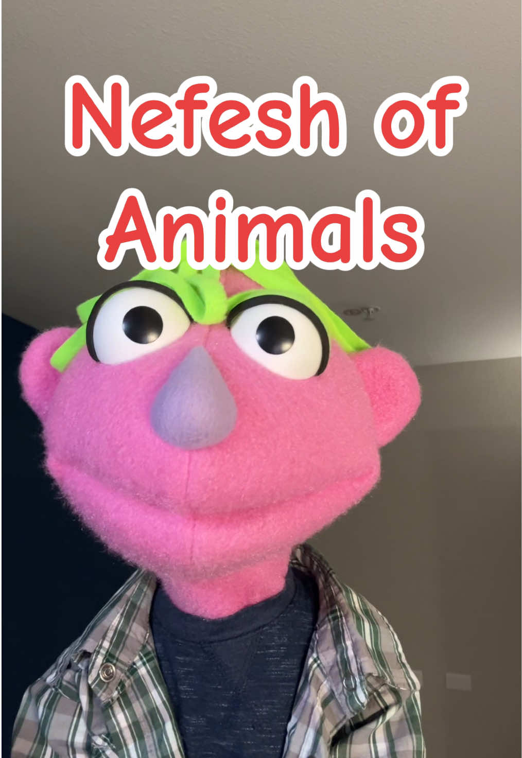 @𝘋𝘪𝘯𝘹 𝘵𝘩𝘦 𝘗𝘶𝘱𝘱𝘦𝘵