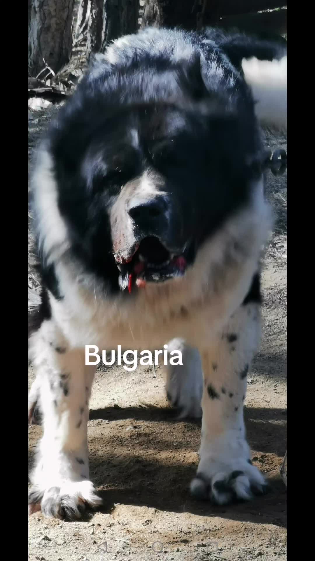 @user402089212676