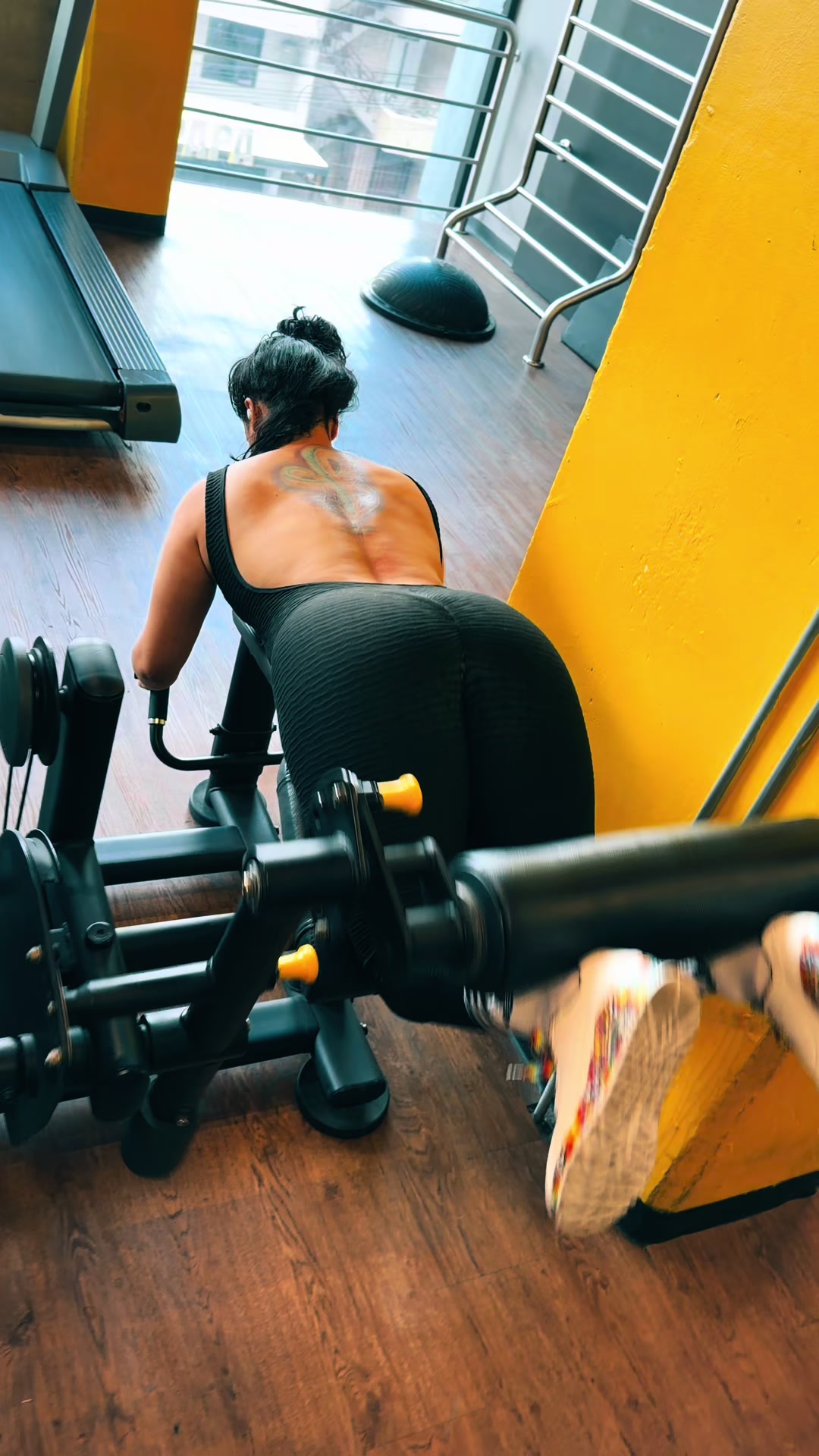 @danifit