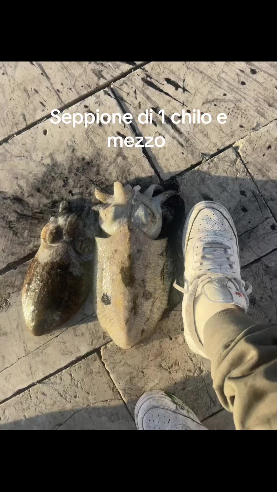 @Michele Burgio