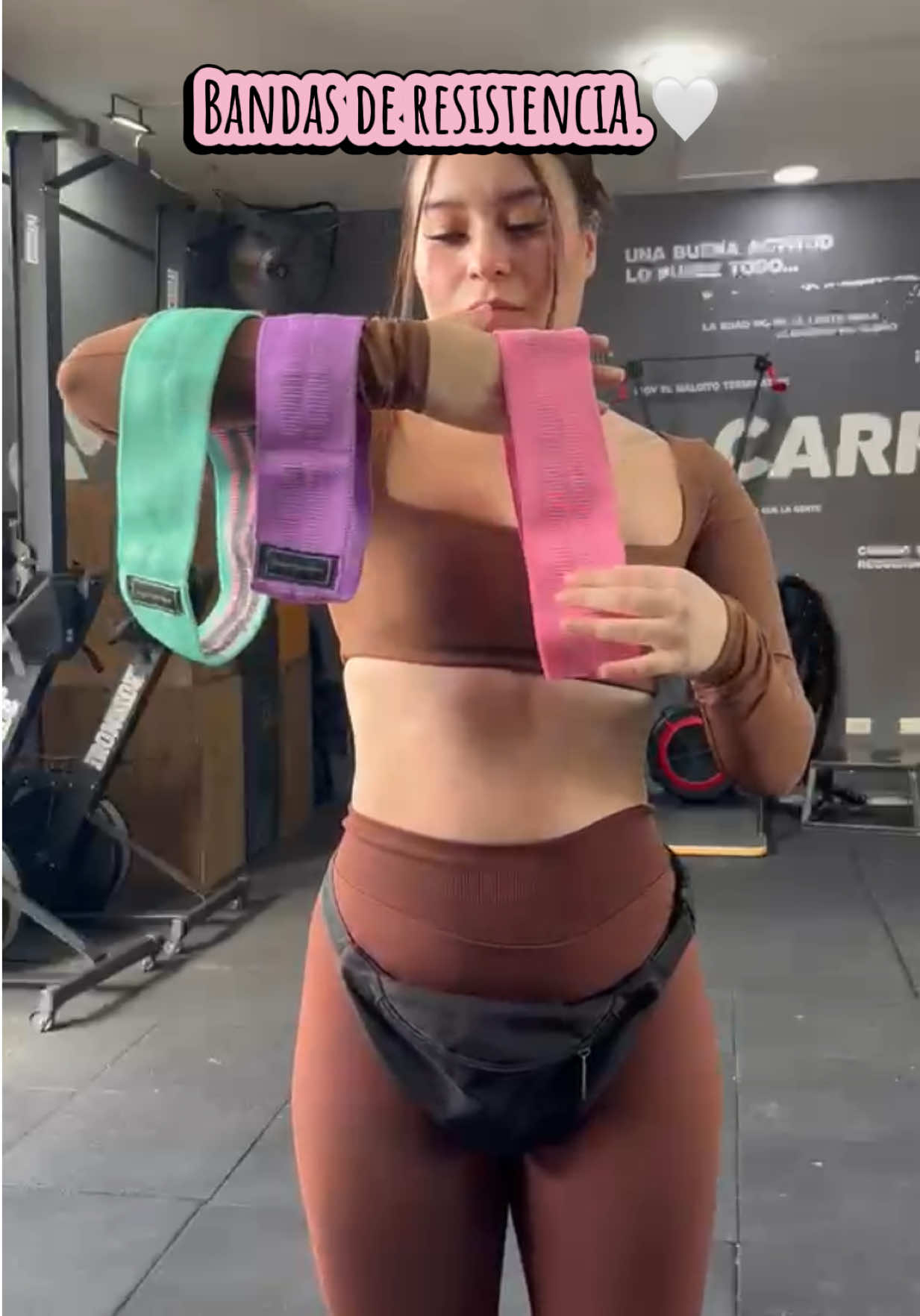 @shantydg0