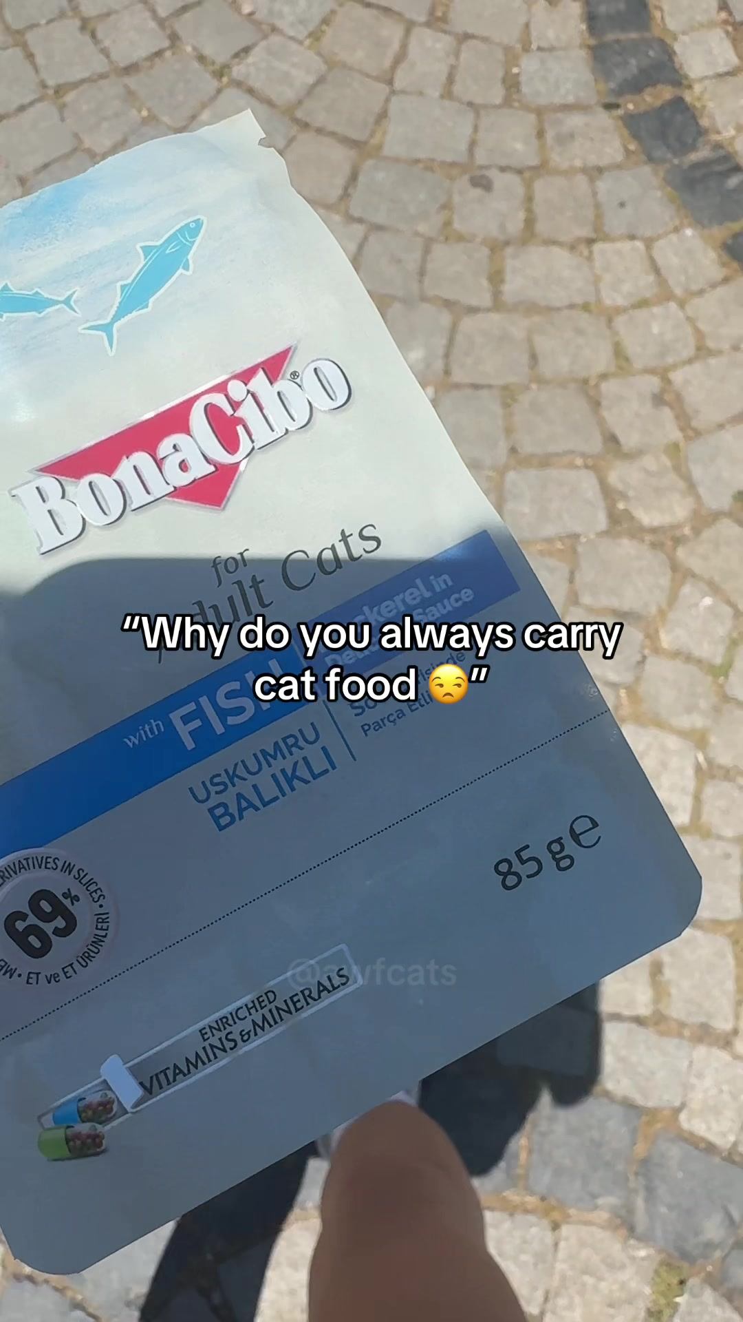 @AWF Cats