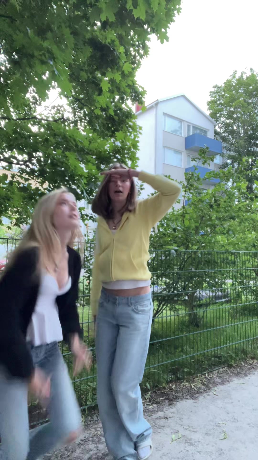 @soffespammm