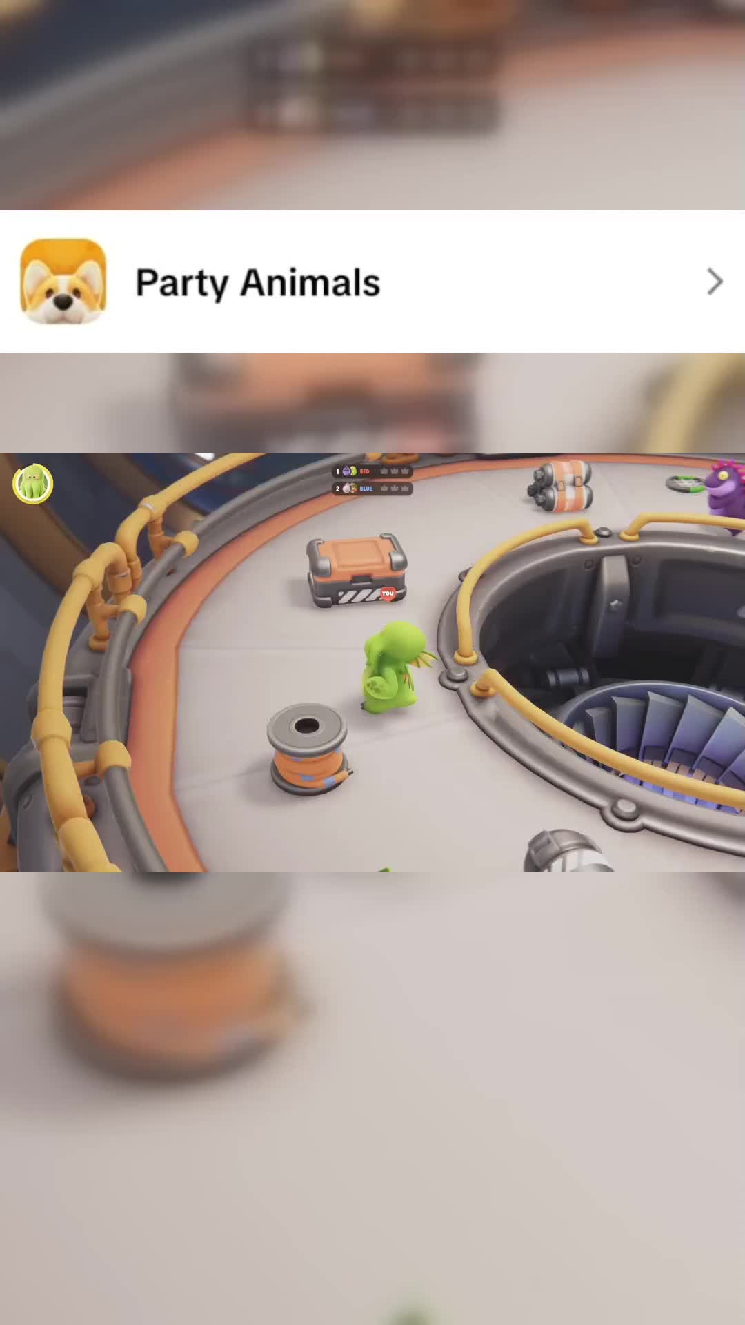 @👑🤍