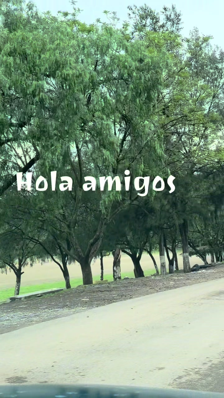 @Diana Martinez