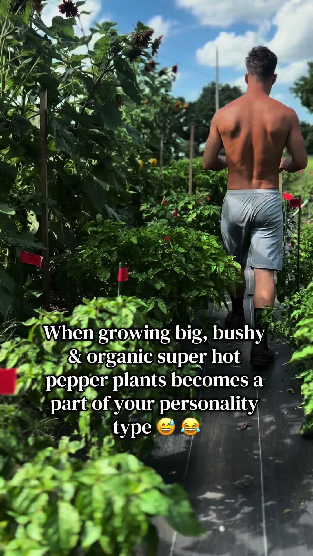 @Davis Farmstead