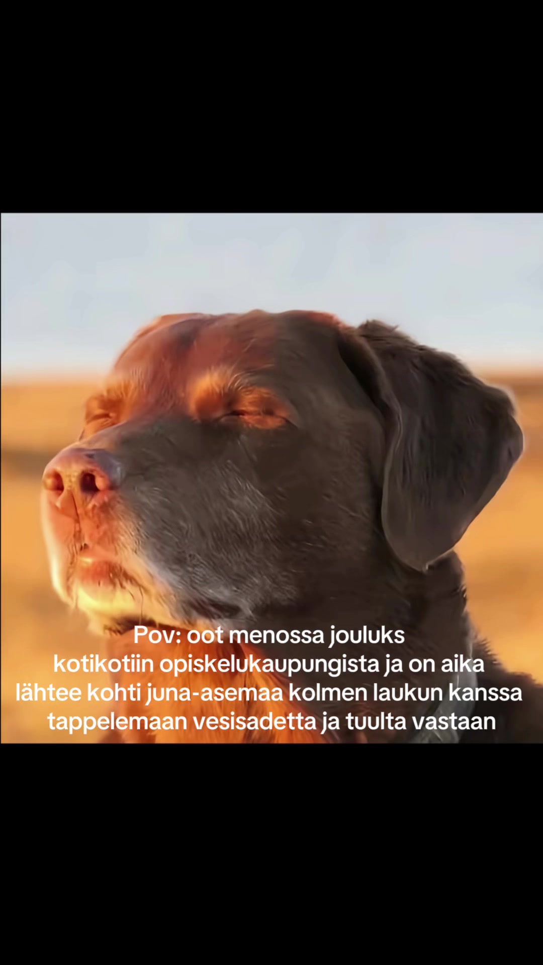 @Sanni<3