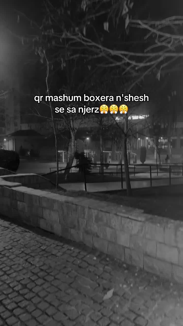 @_erionsh