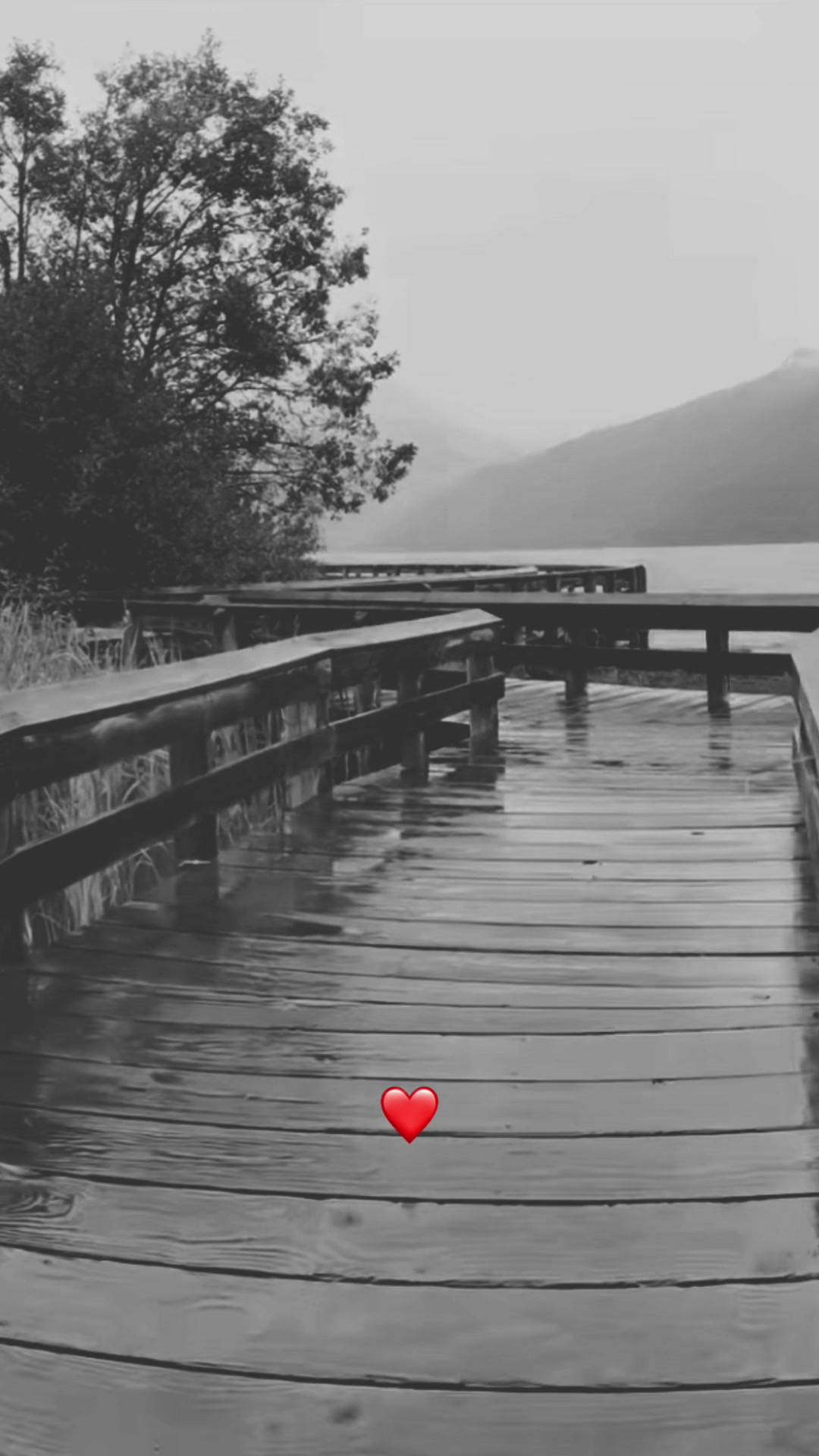 @ᶤᴹ𝐏𝐚𝐫𝐟𝐚𝐢𝐭𝐦𝐞𝐧𝚃𝚘𝚒ⓒ