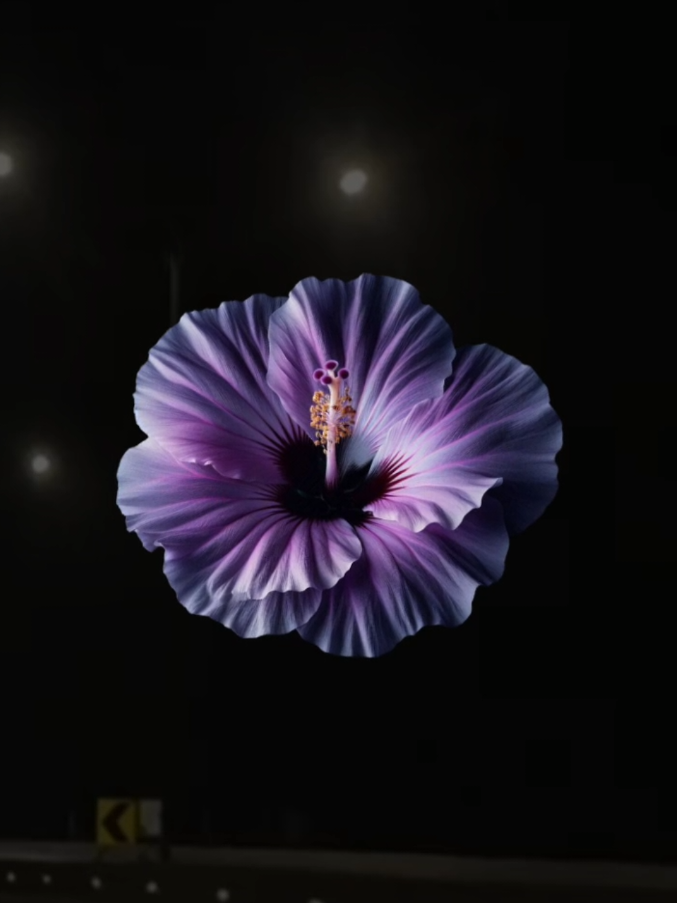 @𝐗𝐕𝐈 𝐀.𝐂