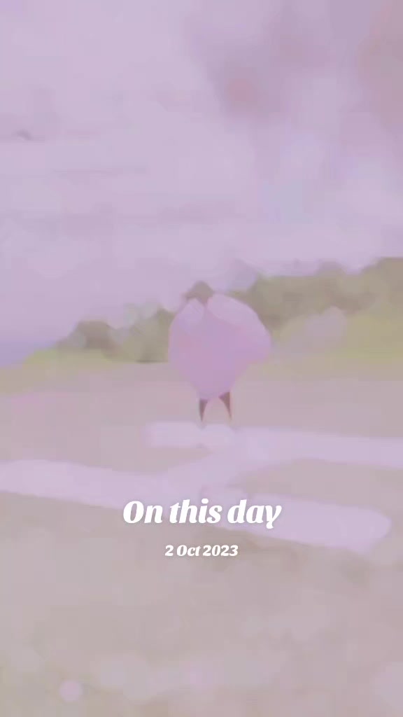@𝑻𝒓𝒂𝒗𝒆𝒍𝒆𝒓 𝑺𝒖𝒎𝒐𝒏✈️